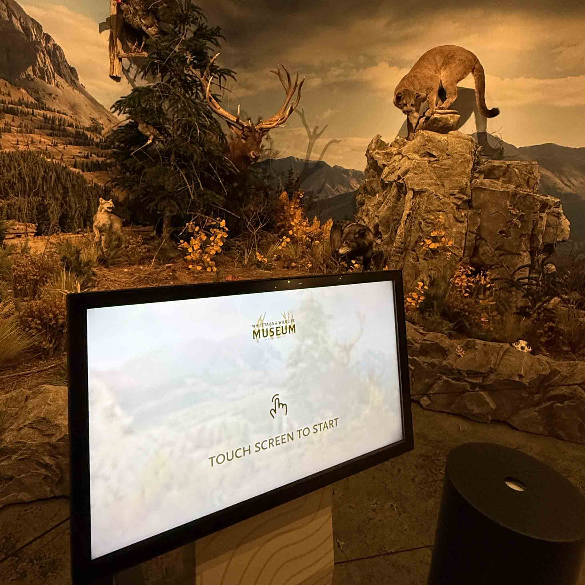 Whitetails & Wildlife Museum exhibit