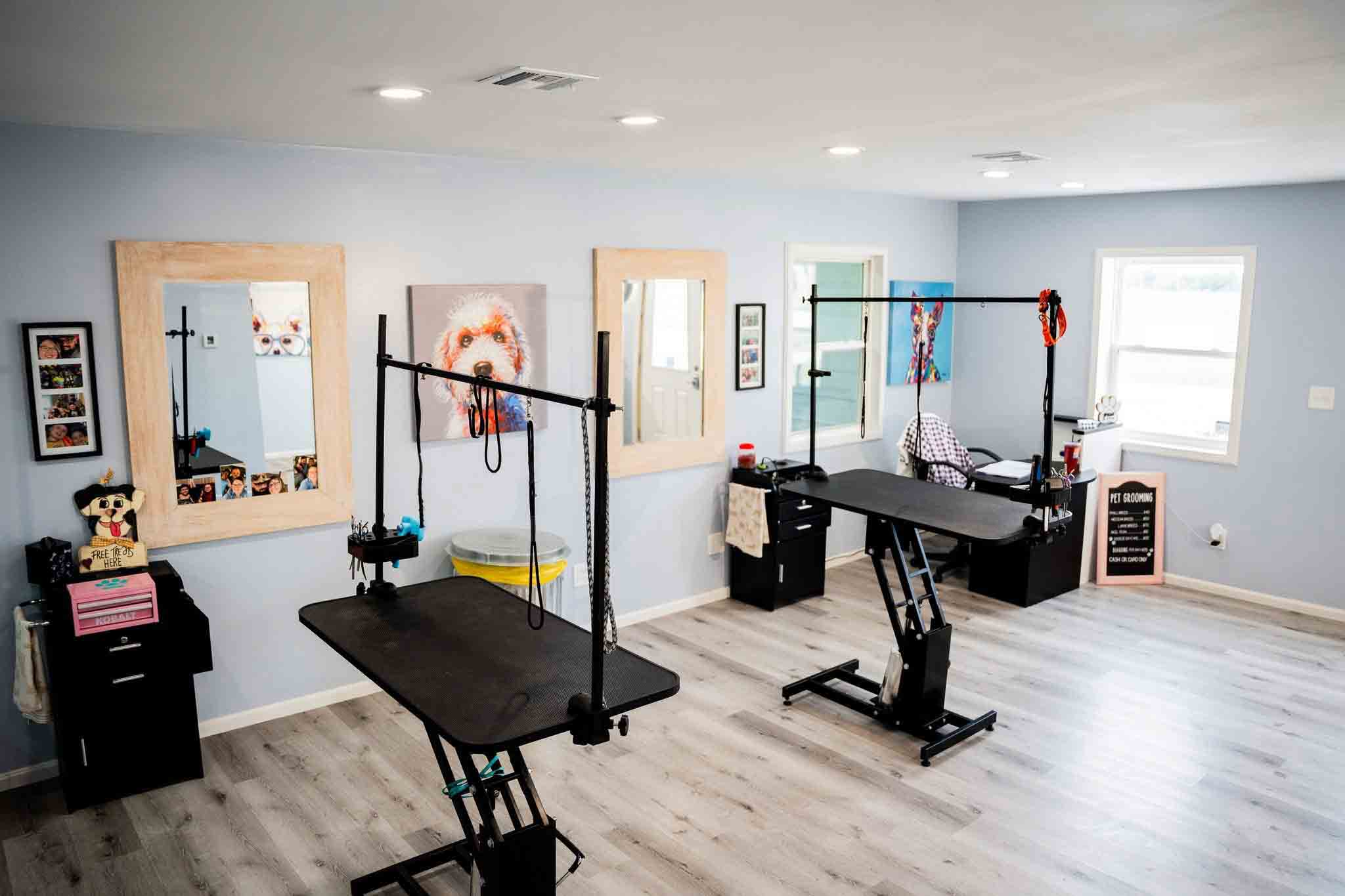 Board & Biscuit at Waggin' Tails — dog grooming and boarding in Humboldt